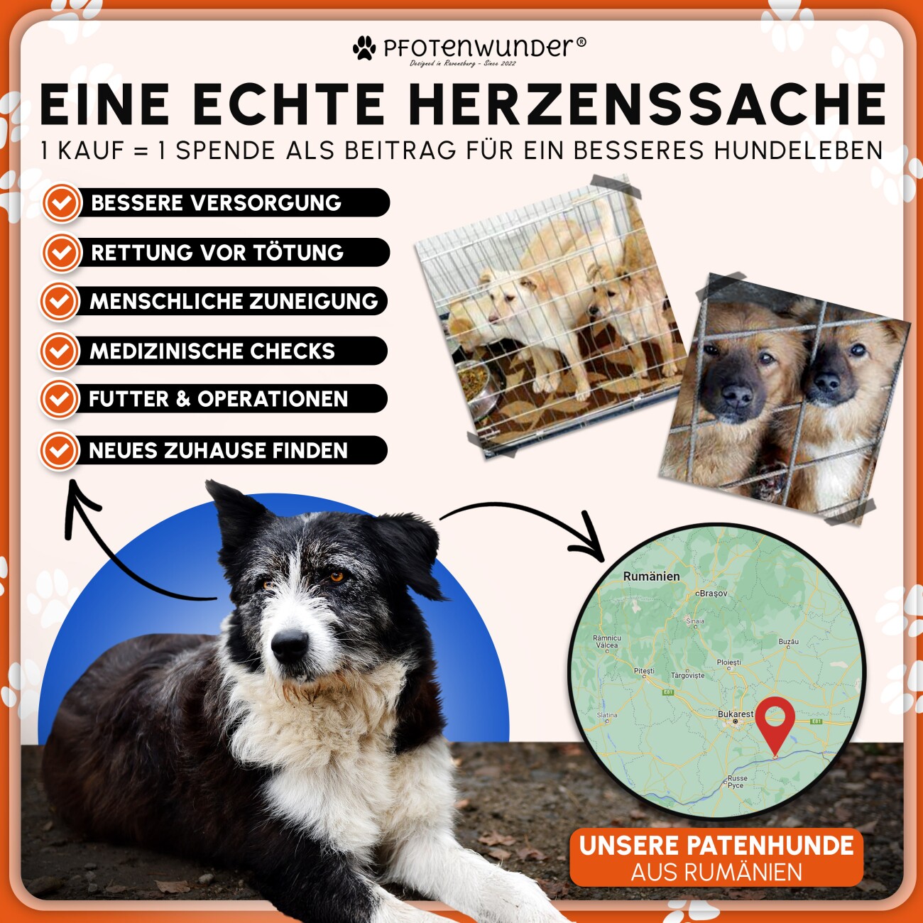 PfotenWunder® Freihandleine Fahrrad für Hunde + 1 elastische Leine & 1 Trainingsbuch, extra dicke 6mm-Leine | Abstandhalter Fahrradhalter aus hochwertige Karbonfasern mit Stoßdämpfern