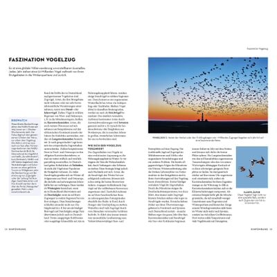 Das NABU-Vogelbuch