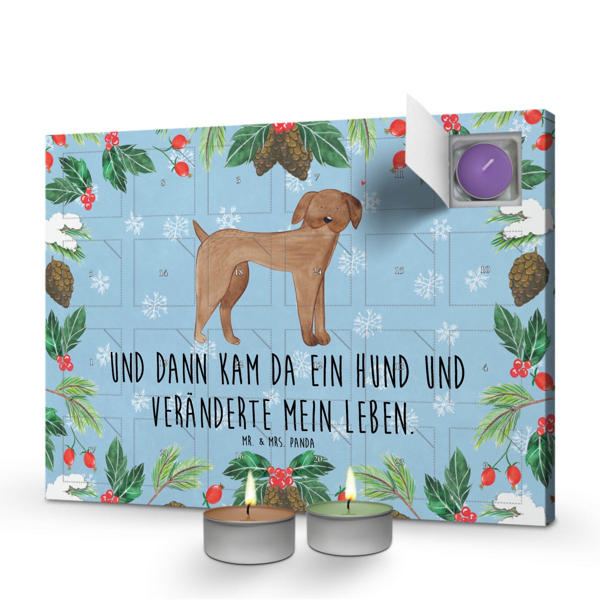 Mr. & Mrs. Panda Geurkaars Adventskalender Hond Duitse Dog - Pastelblauw