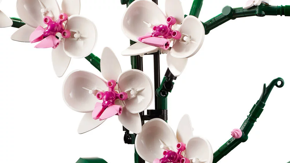 LEGO®ICONS 10311 - L'ORCHIDEE