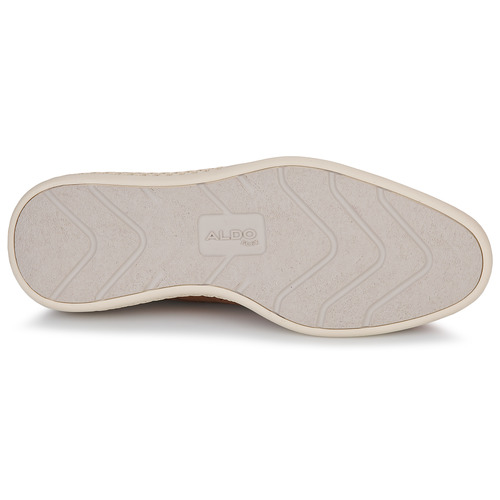 Aldo - WINGSTROLL - Marron