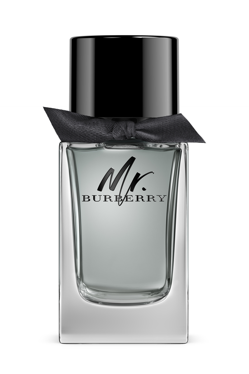 Burberry Mr. Burberry Edt 100ml