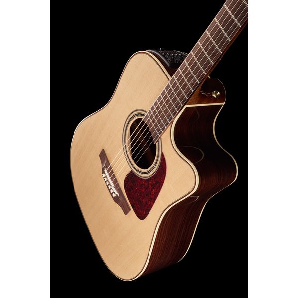 Takamine P5DC w/Softcase