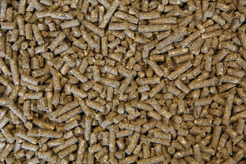 Voermeesters Veulen - Fokkerij - 20 Kilogram - Zak