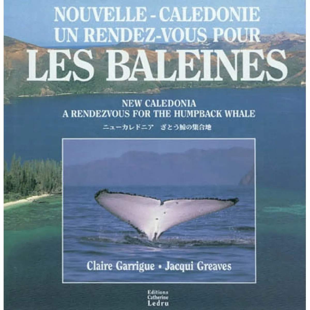 Nouvelle-Calédonie, un rendez-vous pour les baleines. New Caledonia, a rendezvous for the humpback whale · Occasion