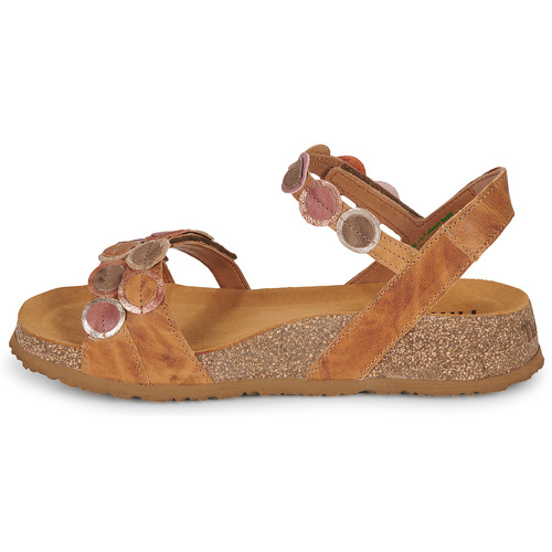 Think - KOAK Camel