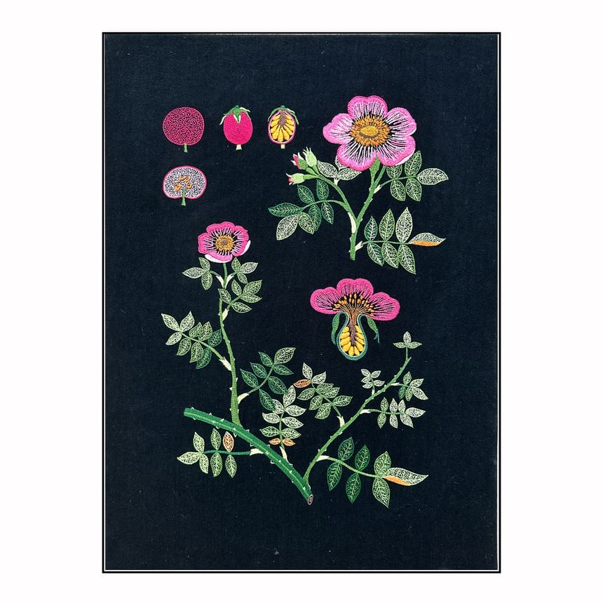 Embroidery Kingdom - DIY-borduurpakket met bloemen (verschillende ontwerpen)