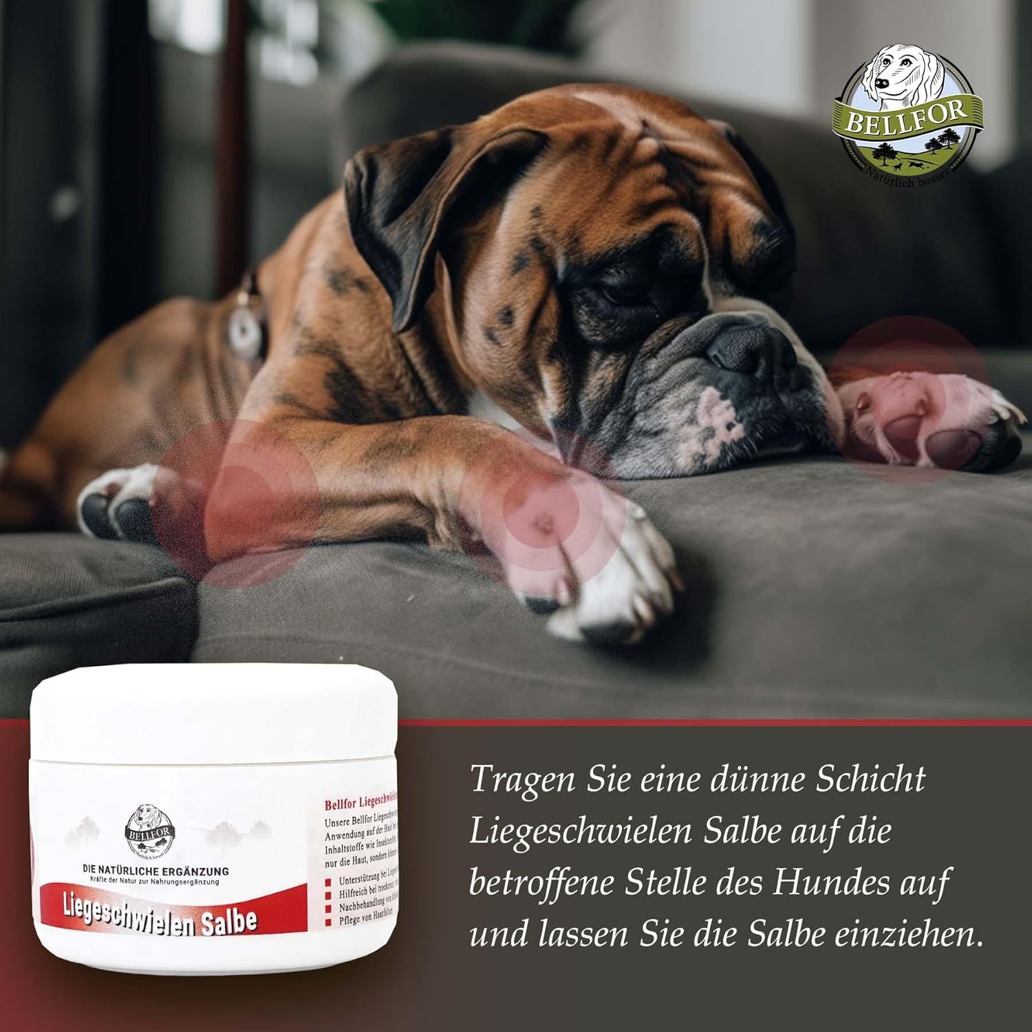 Bellfor Liegeschwielen Salbe natürlich für Hunde