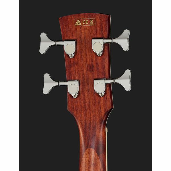 Ibanez PNB14E-OPN Acoustic Bass