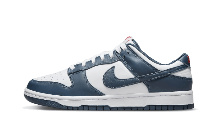 Nike Dunk Low Valerian Blue - 48h Delivery