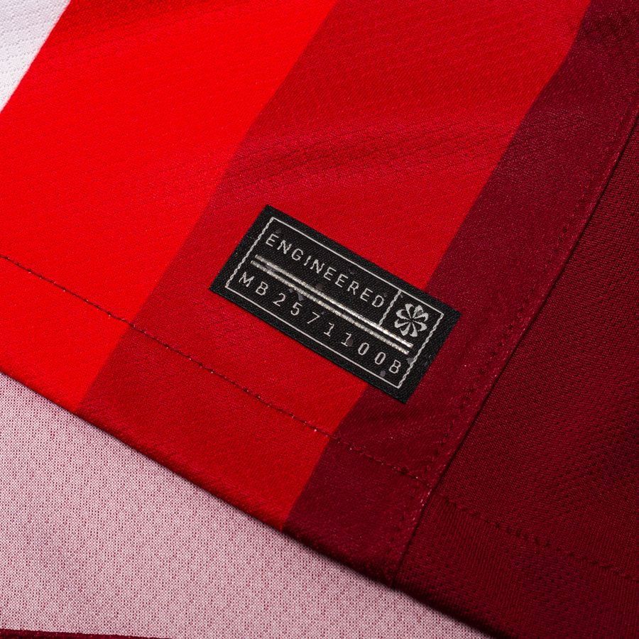 Norvège Maillot Domicile 2024/25 ØSTIGÅRD 4