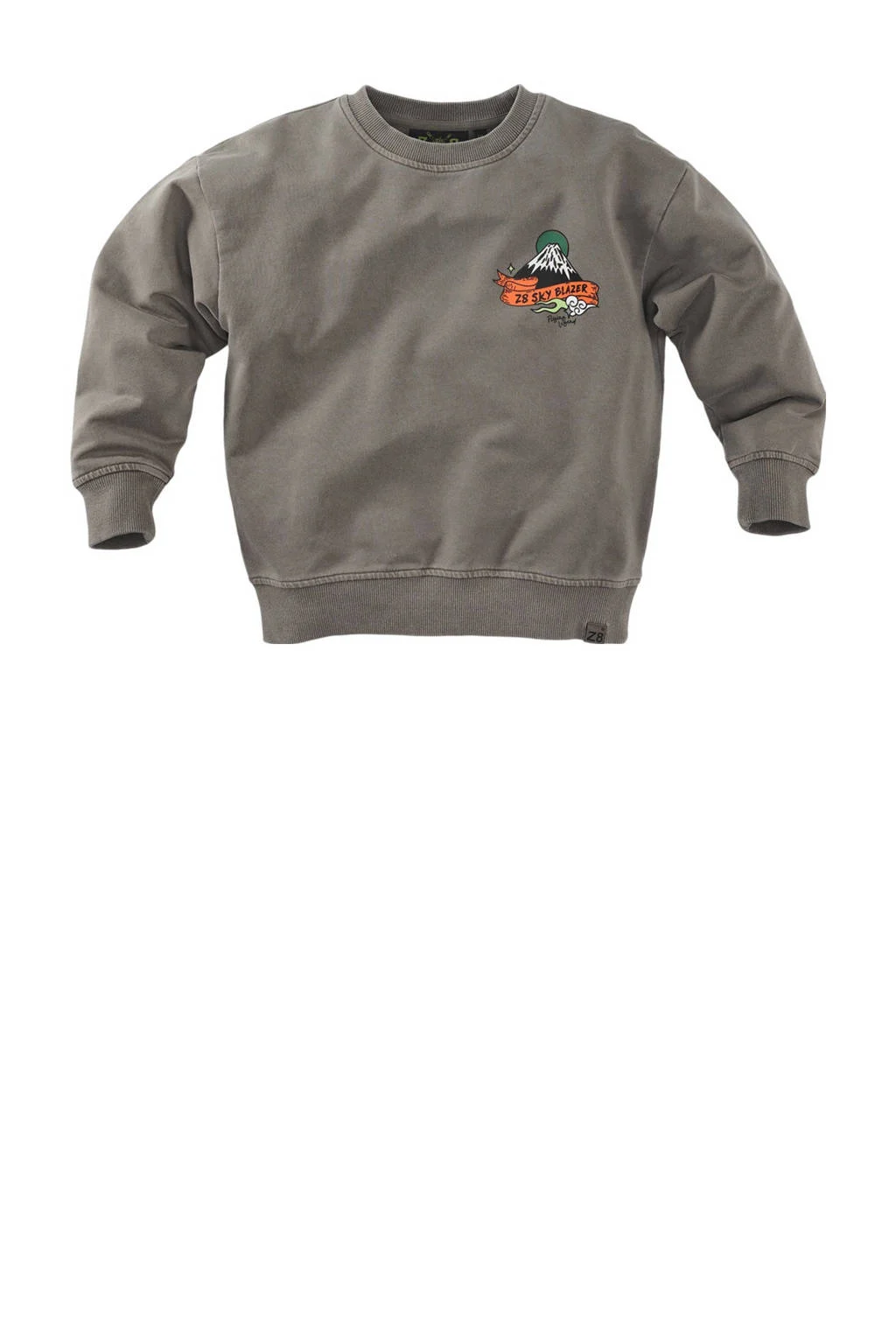 Z8 kids sweater Jett met backprint grijs