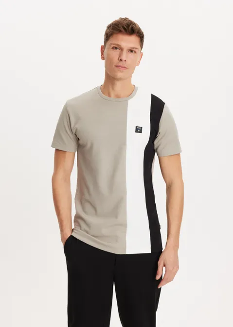T-shirt met streep grijs (GRS.L)