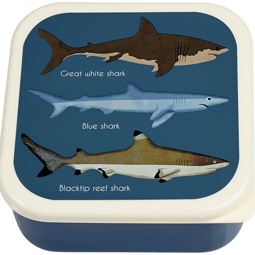 Rex london snackdoosjes sharks - 3st