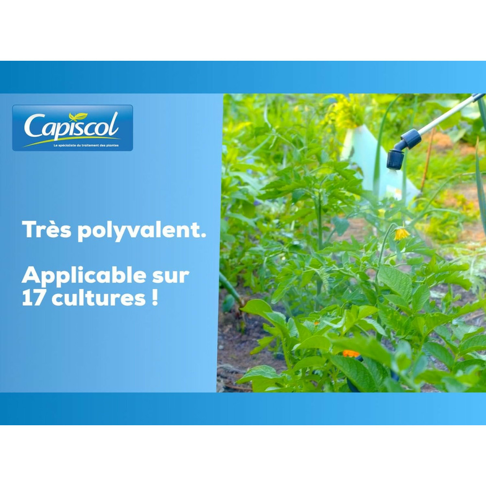 Bouillie bordelaise potager et verger | 300g de poudre | utilisable en