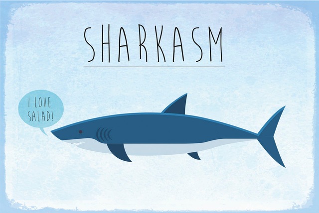 queence Metallbild »Sharkasm« 1 Stk. tlg. Stahlschild, Blechschild, Sprüche, Texte, witzig