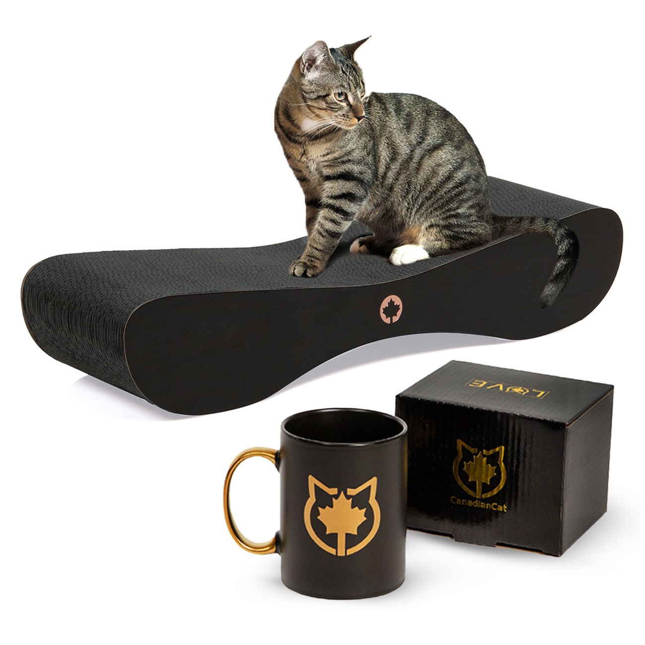 Canadian Cat Company Kratzbrett Kratzbrett Set Satellite 2.0 + Tasse schwarz