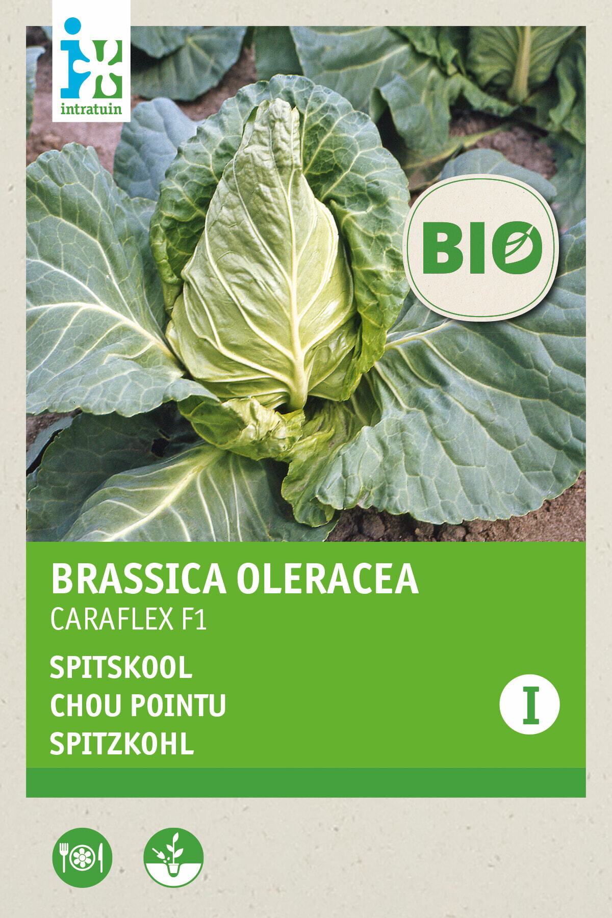 Intratuin biologische groentezaad spitskool (Brassica oleracea 'Caraflex f1')