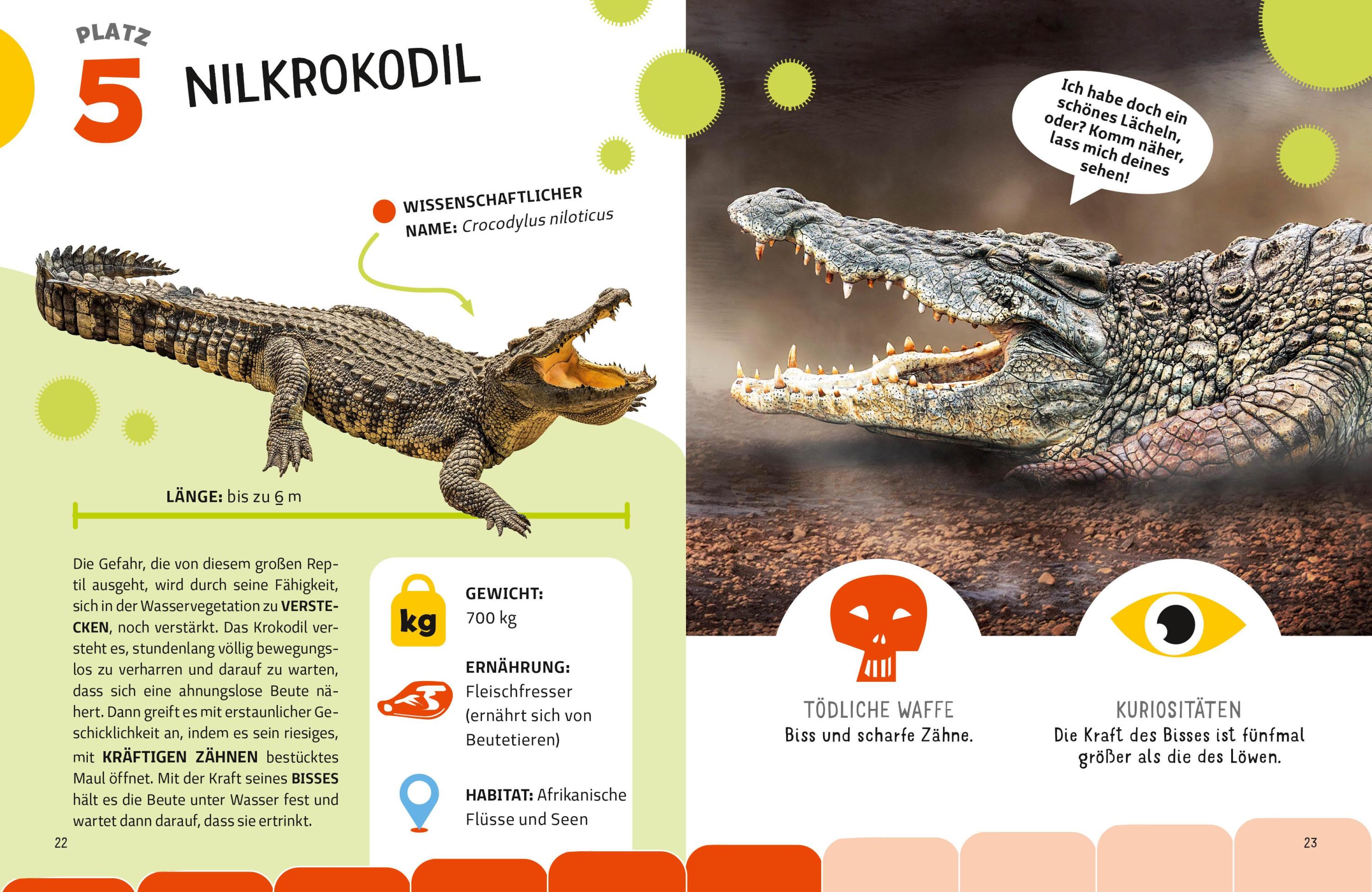 Die tödlichsten Tiere. Ein aufregendes Count-Down der gefährlichsten Tiere (Top Ten)