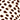 Top met sierlijke print Multi brown