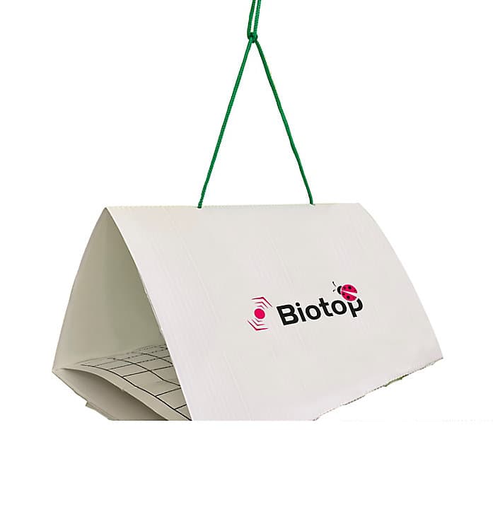 Piège détection des papillons Biotop Delta®
