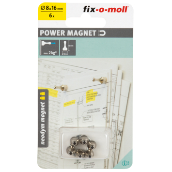 Magneet pion Neodym zilver 8x16mm 4 stuks