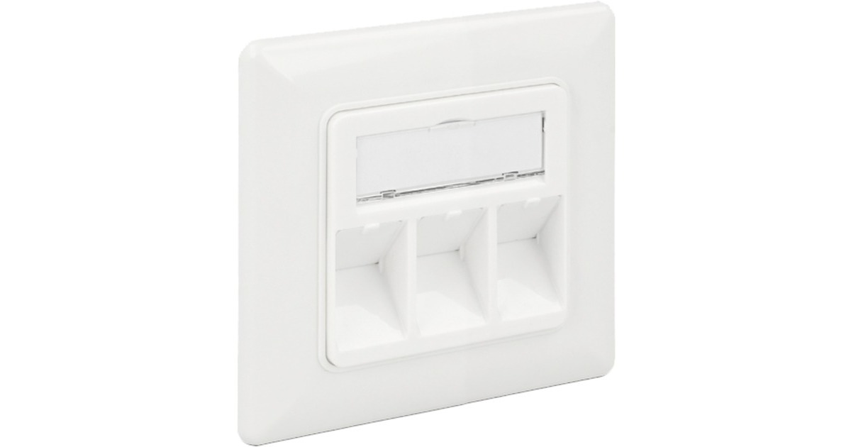 DeLOCKKeystone Wall Outlet 3 Port compact doos  (Wit)
