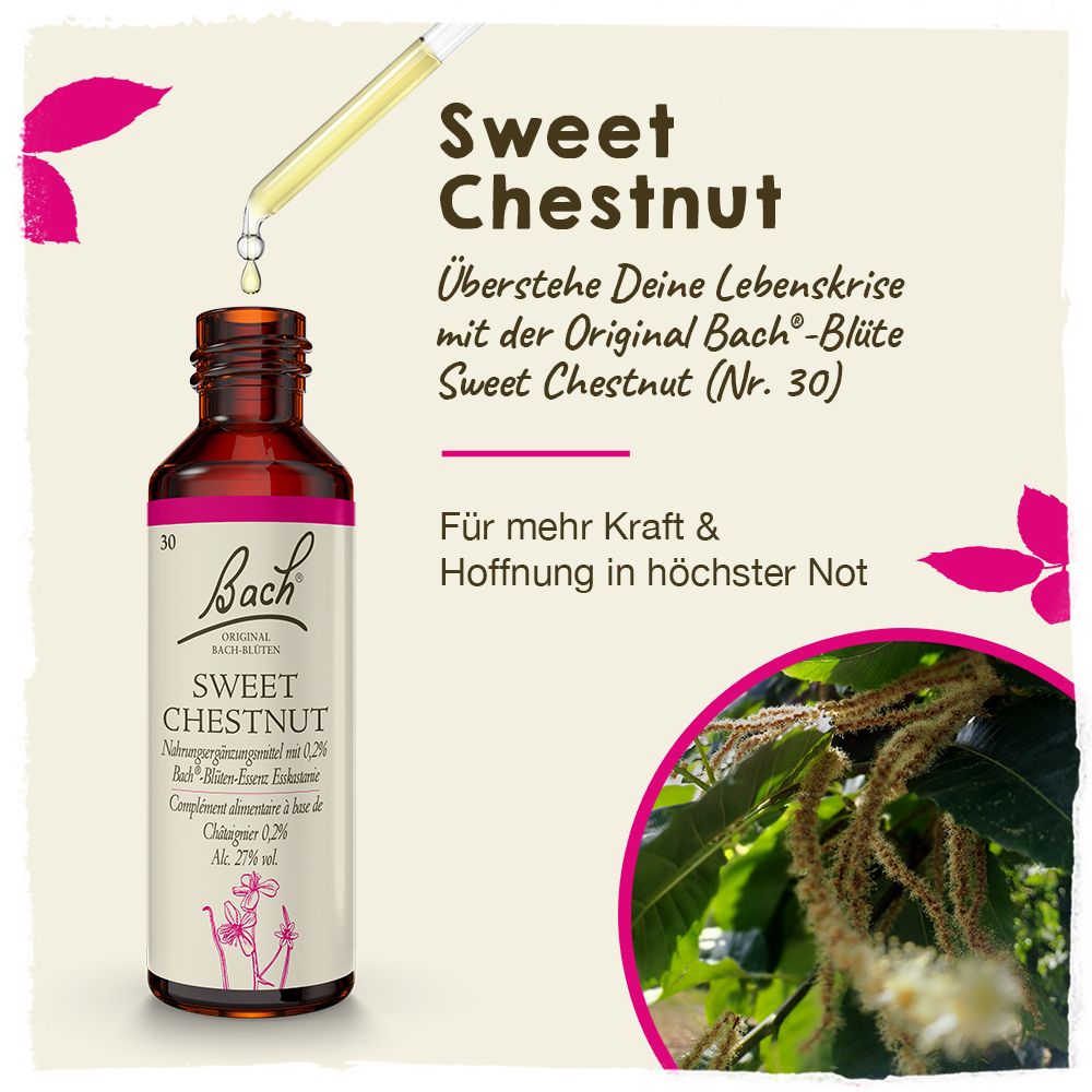 BACH®-BLÜTE SWEET CHESTNUT (Esskastanie)