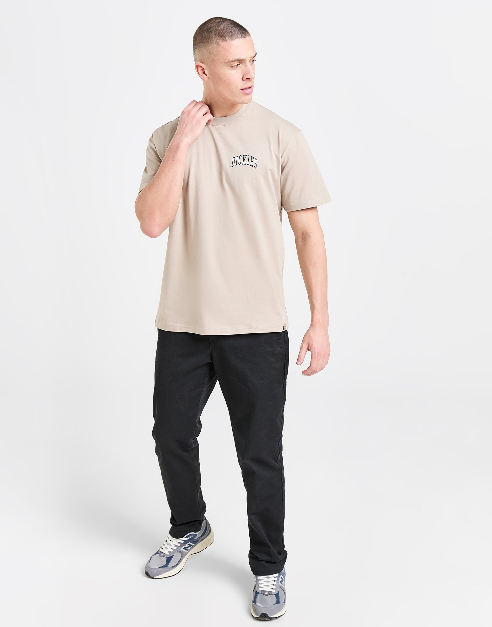 Dickies T-shirt Aitkin Chest Homme
