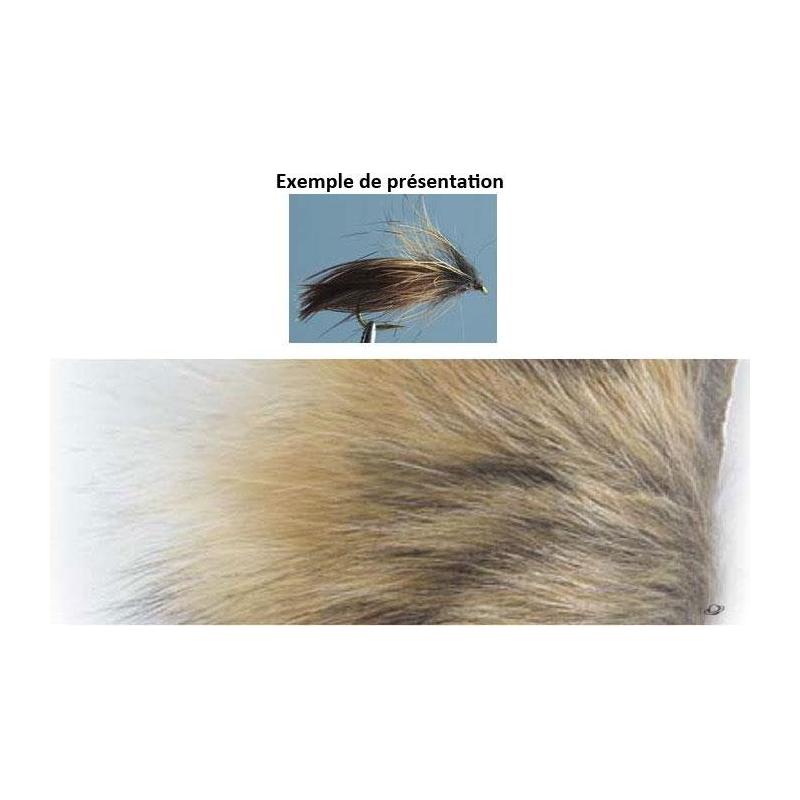 Poils De Coyote Tof