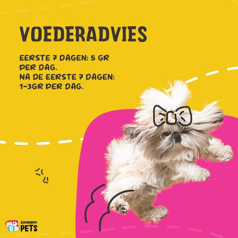 Dog Mobility Plus - Hondenvoer - Groenlipmossel - Ondersteuning Gewrichten