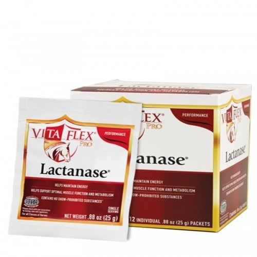 Suplemento de lactanase Vetnova para cavalos