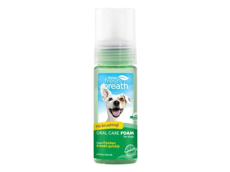 Oralcare foam