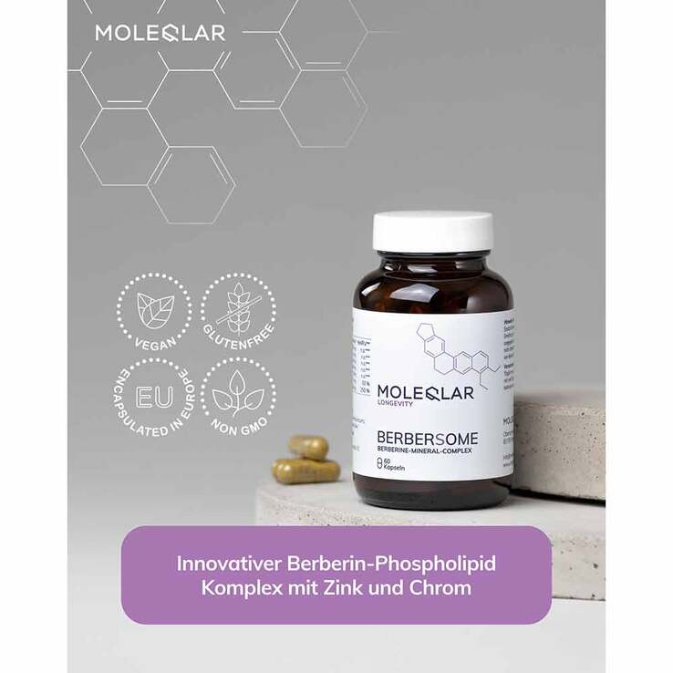 Moleqlar Berberine Mineral-Complex Kapseln, 60 St