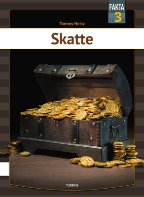Skatte - Tommy Heisz - Bog