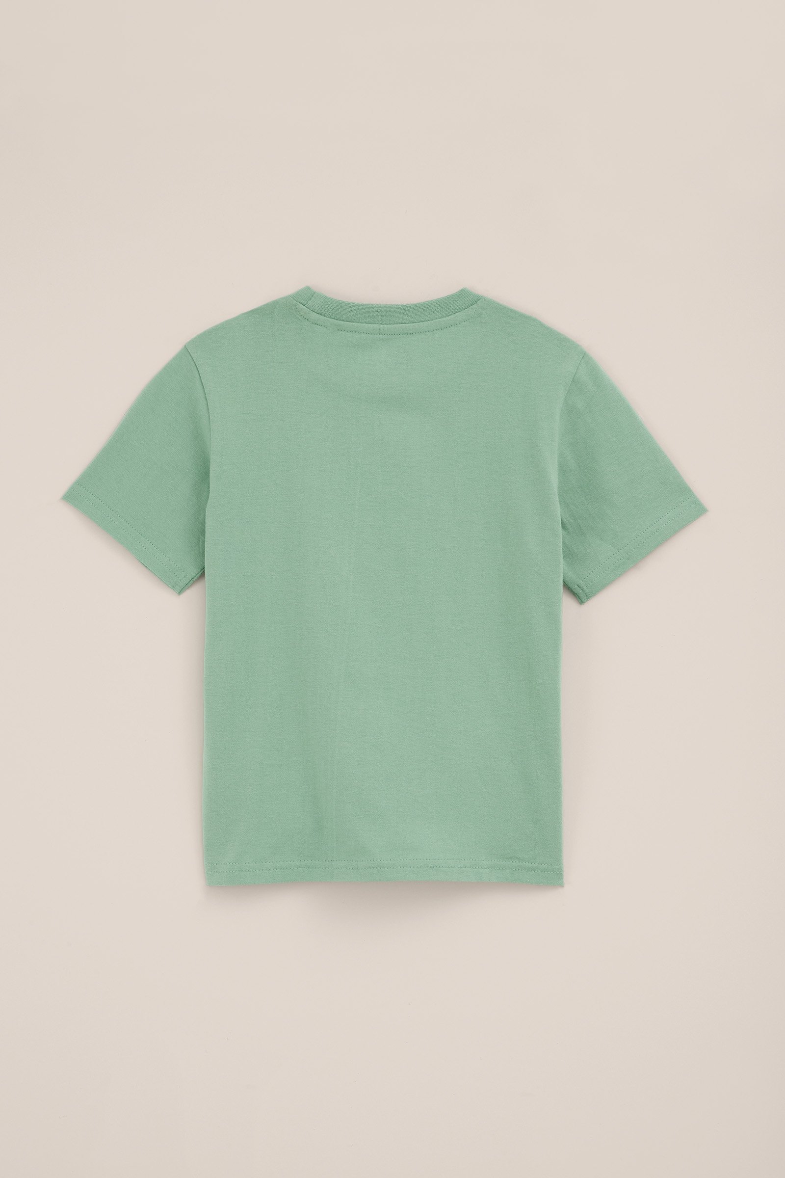 Jongens T-shirt met opdruk WE Fashion Lichtgroen