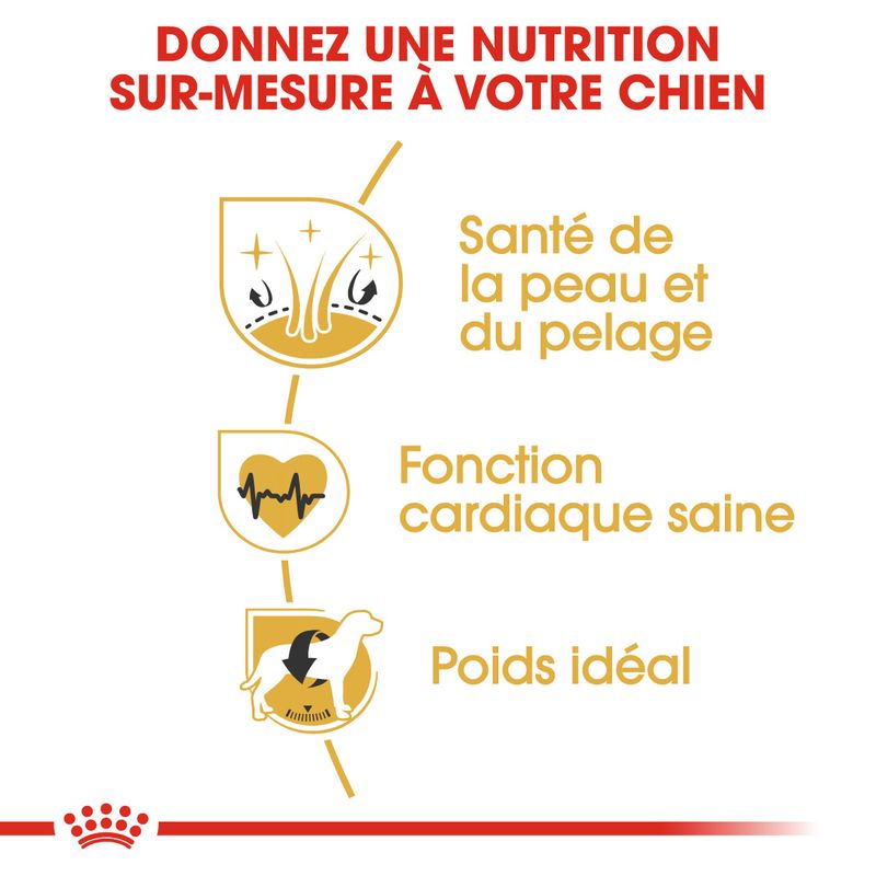 Royal Canin Golden Retriever Adult à prix discount sur bitiba.fr