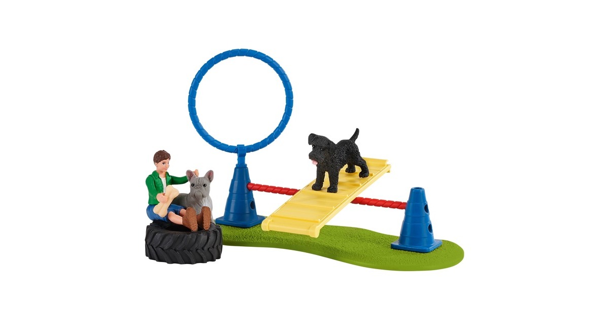 SchleichFarm World - Speelplezier voor honden speelfiguur  (42536)
