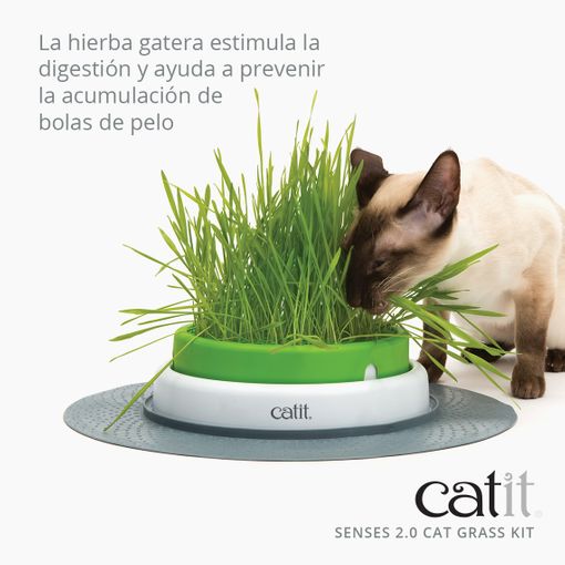 Kit de Grama Artificial para Gatos Catit Senses 2.0, 3 unidades - Ref. 43162W