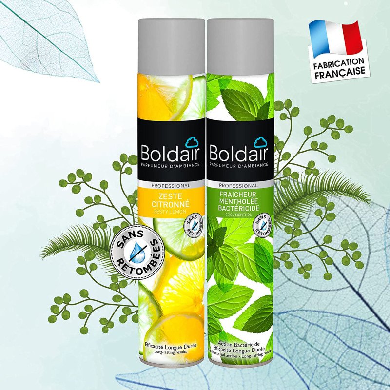 Désodorisant classique Boldair zeste citronné - Aérosol 500 ml