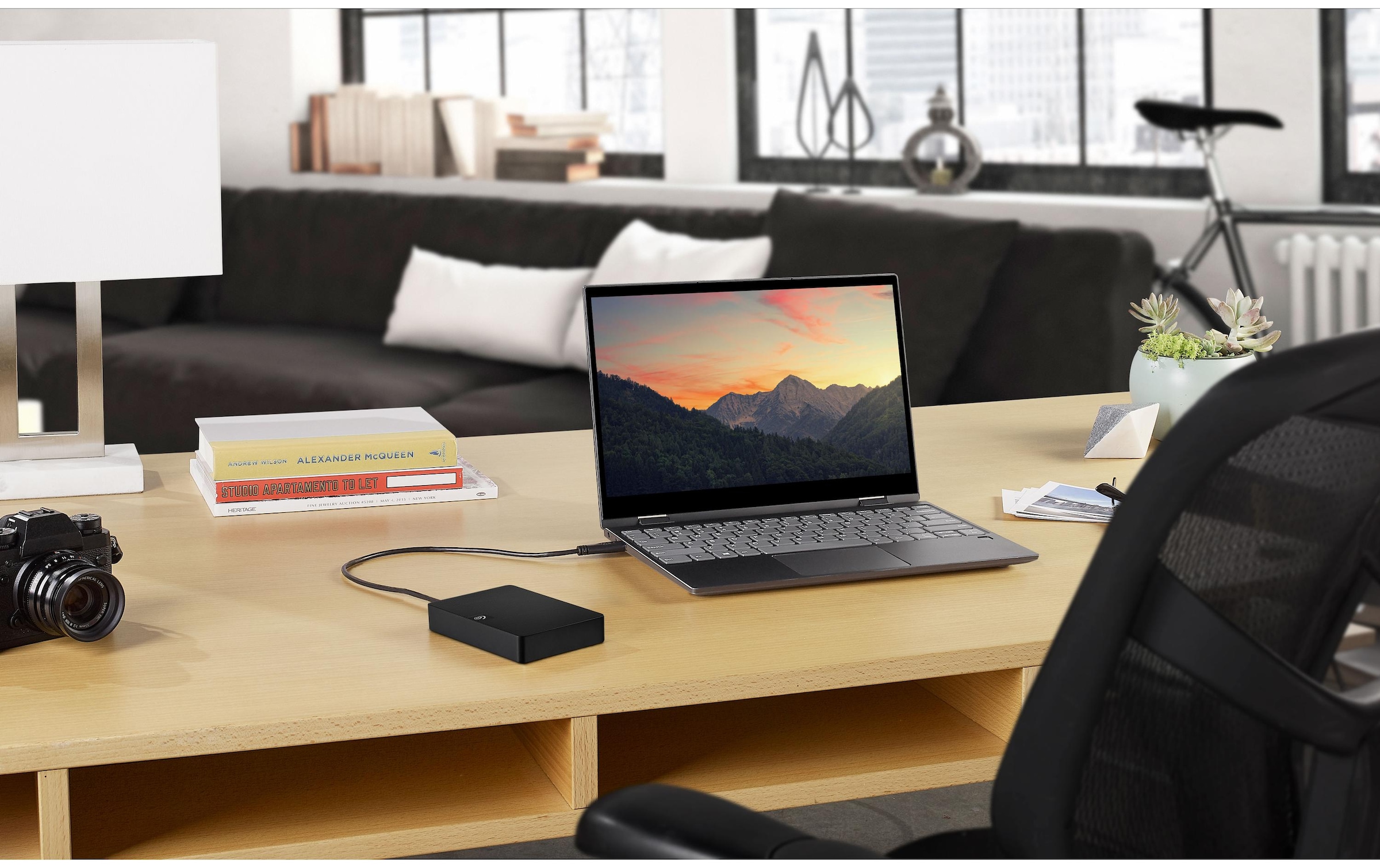 Seagate externe HDD-Festplatte »Expansio«