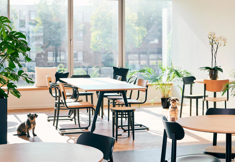 Thonet 214 RH kruk zwart/naturel