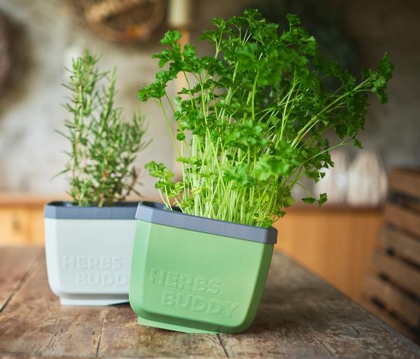 Gusta Garden Kräutertopf Herbs Buddy, ca.
