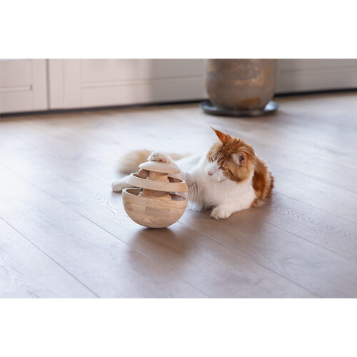 Designed by Lotte Neya Kattenspeelgoed