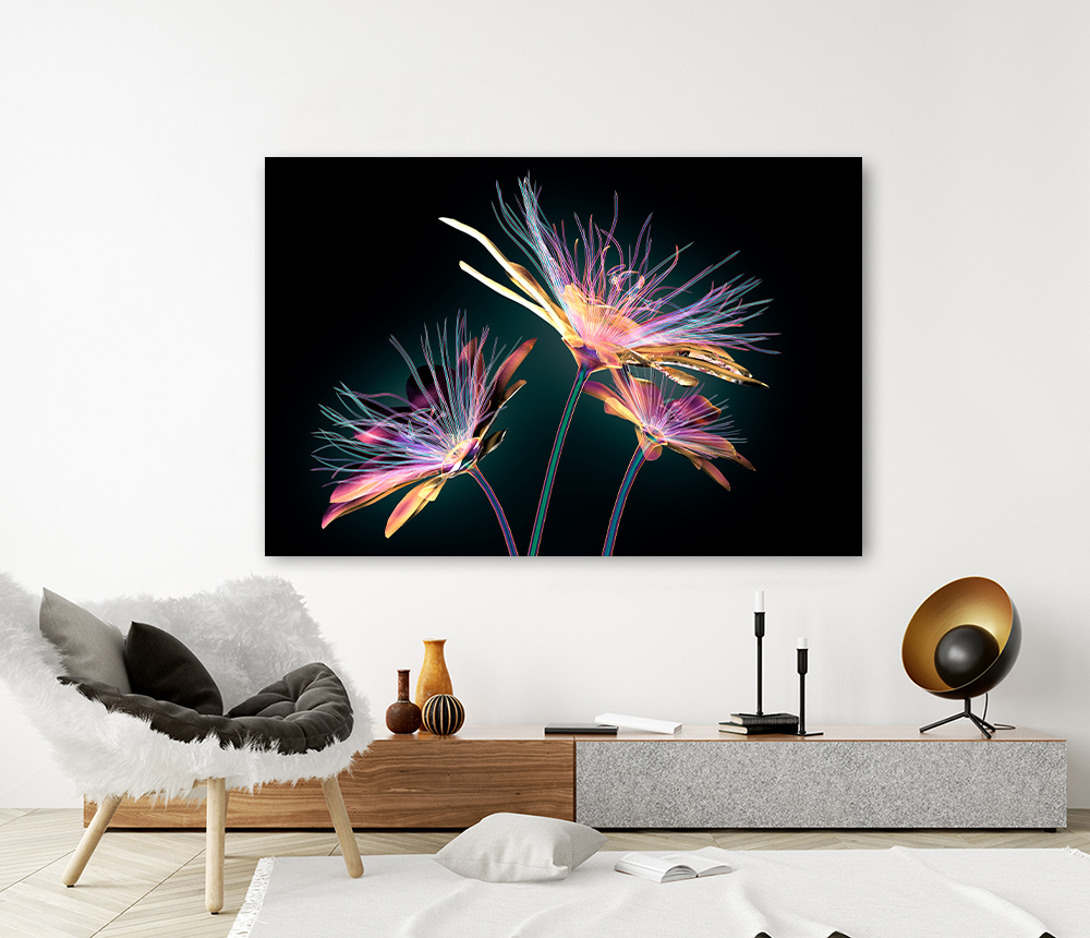 Paarse bloemen op zwart – Acrylglas 90 x 60 cm