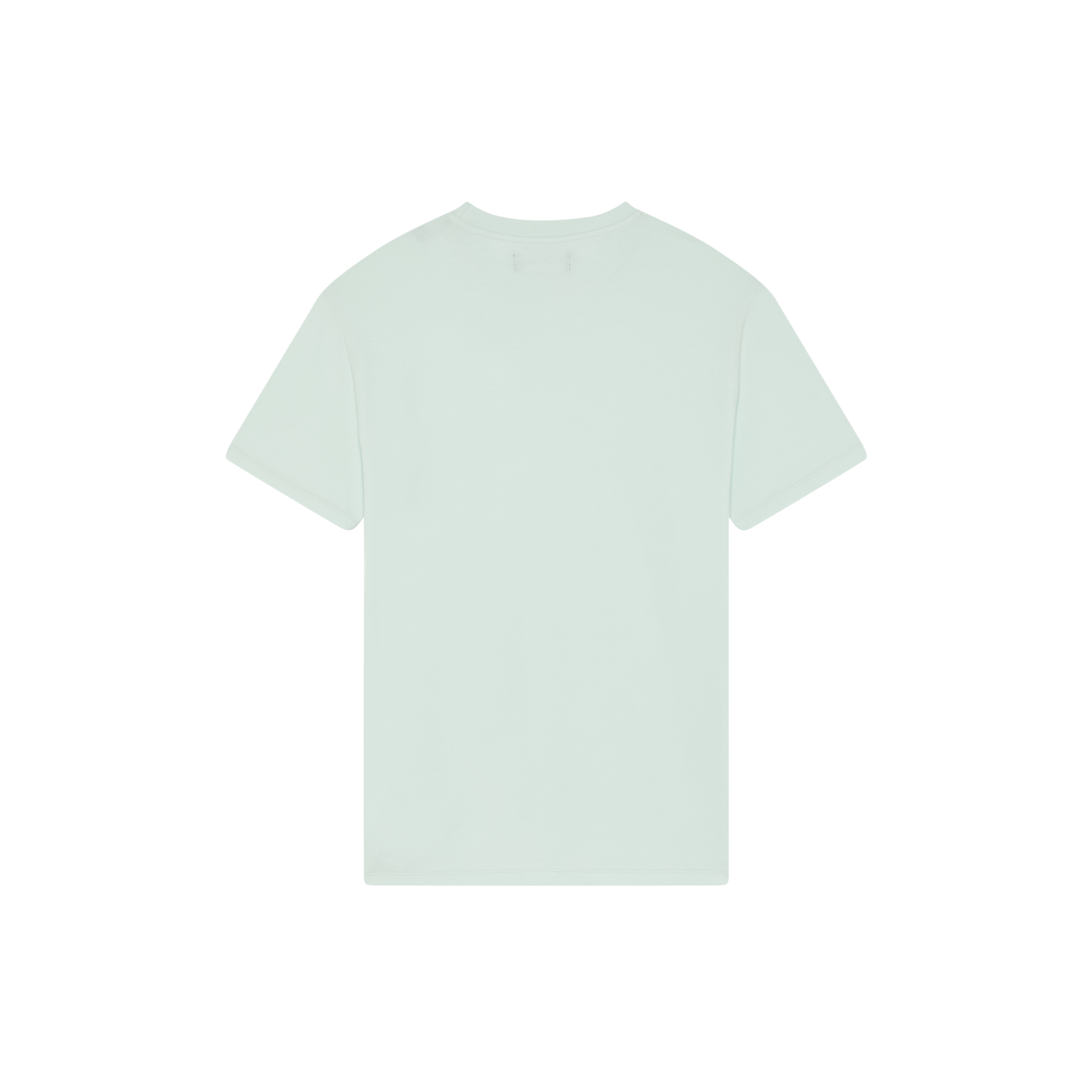 T-shirt en coton organique homme Tortue brodée