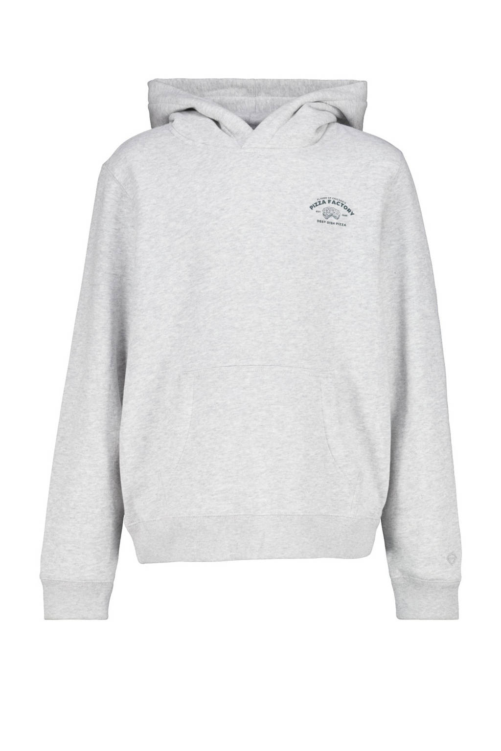 America Today hoodie grijs