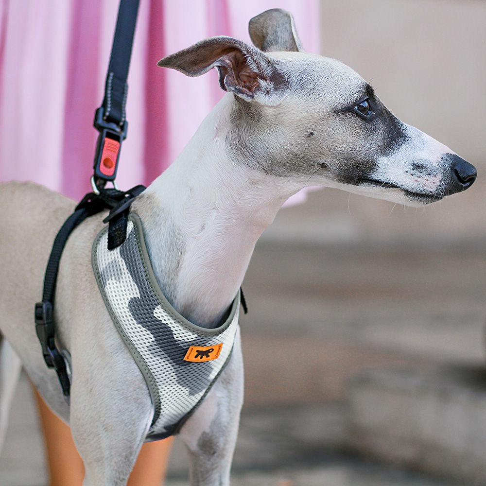 Harnais pour chiens nikita fashion s, respirant, rembourré et ajustable