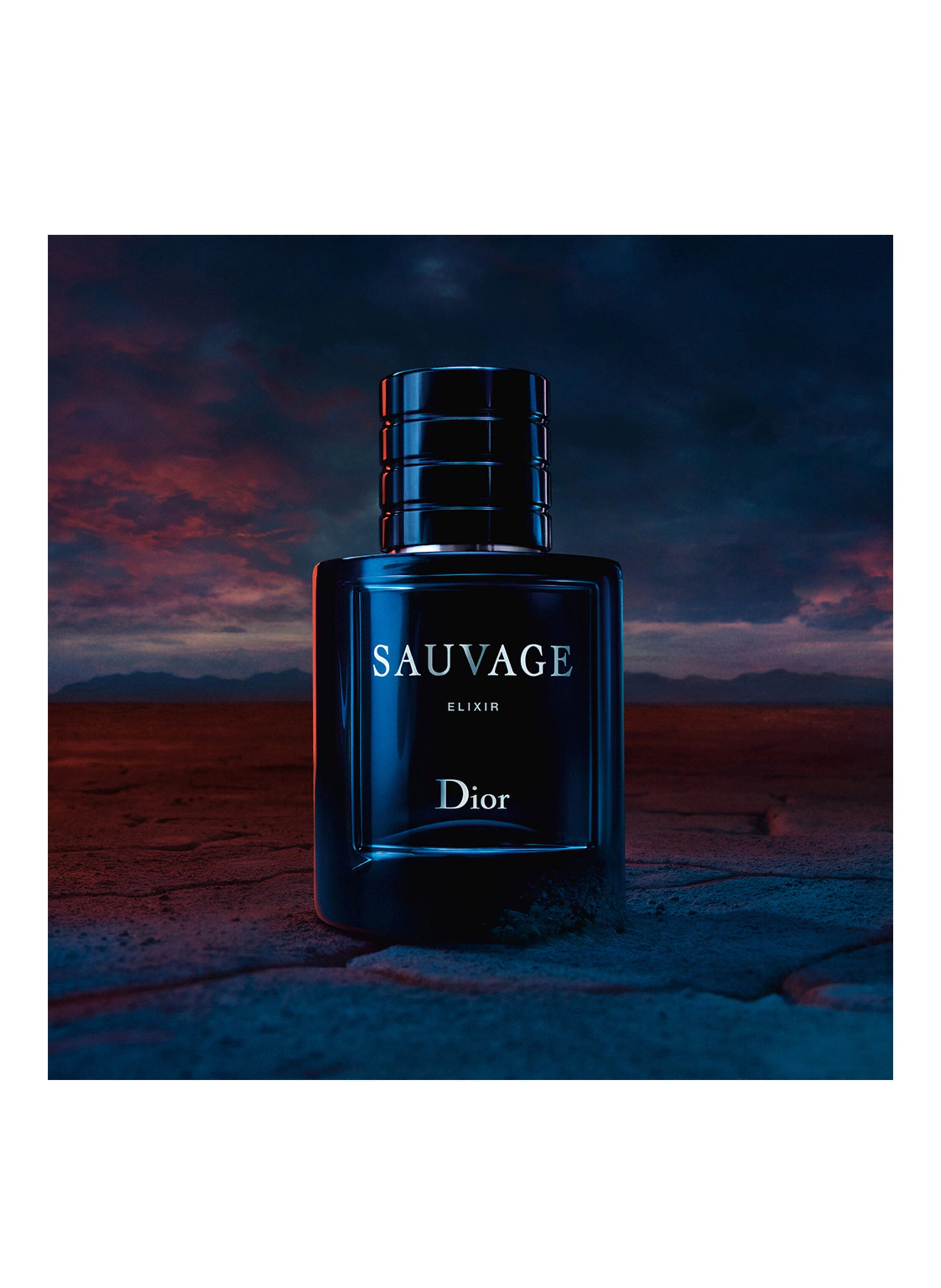 DIOR SAUVAGE ELIXIR