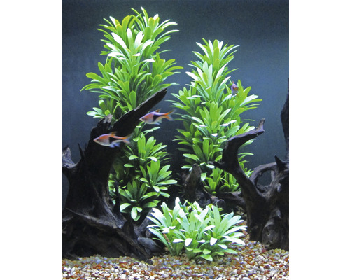Kunststof waterplant klein nr. 33 16 cm groen